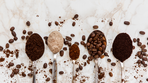 Sustainability & Responsibility: Ethical Sourcing and Environmental Stewardship